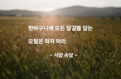 모험, 분산투자, 달걀 – 서양 속담