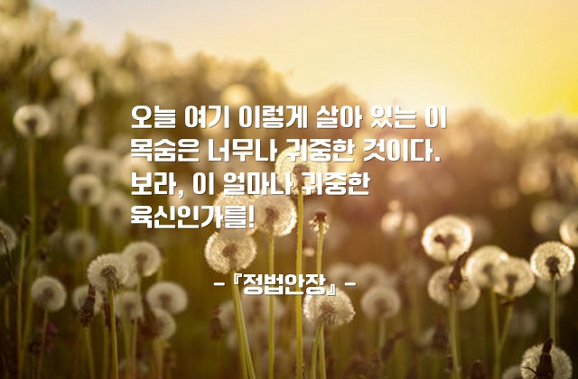 목숨, 자기자신 – 『정법안장』