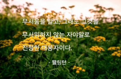 무서움, 용자 – 웰링턴