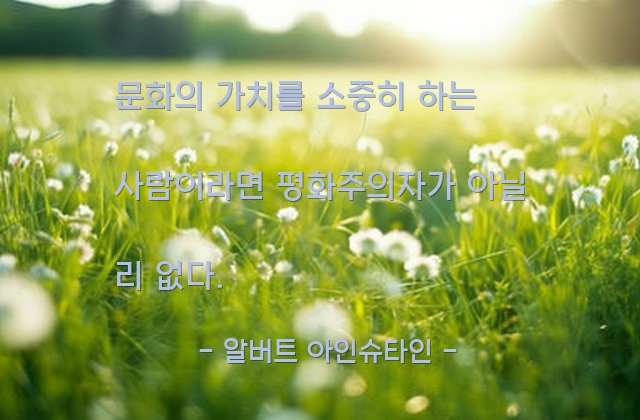 문화, 평화주의자 – 알버트 아인슈타인