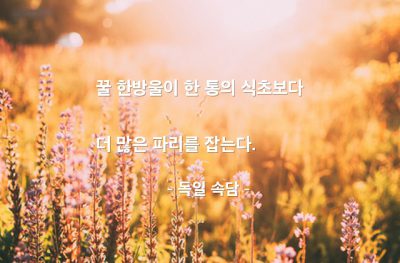 미끼, 적재적소, 꿀(honey) – 독일 속담