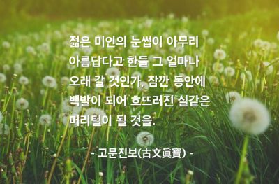 미인, 눈썹, 여자, 나이 – 고문진보(古文眞寶)