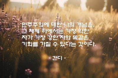 민주주의, 강자, 약자, 기회 – 간디