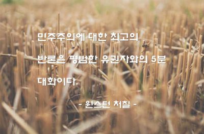 민주주의, 유권자 – 윈스턴 처칠