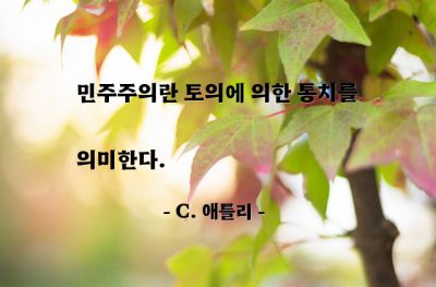 민주주의, 통치 – C. 애틀리