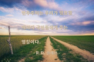 민주주의 – R.D. 플레르