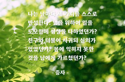 반성 – 증자