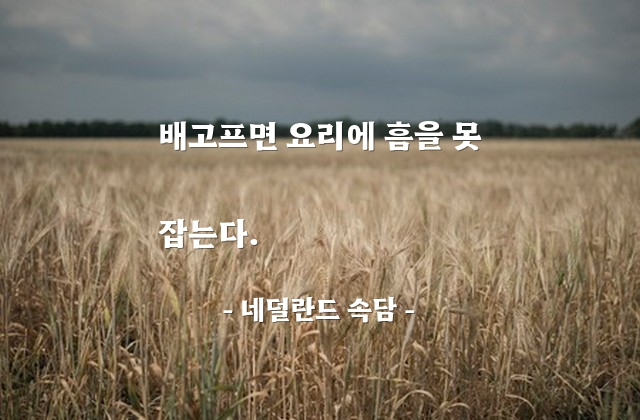 배고픔, 요리, 절박함 – 네덜란드 속담