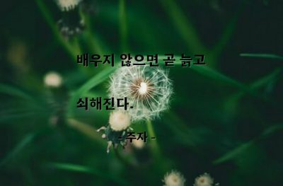 배움, 공부, 노화 – 주자