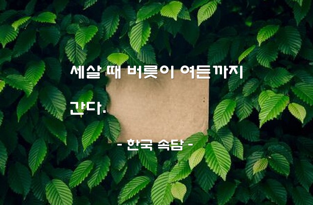 버릇, 습관 – 한국 속담