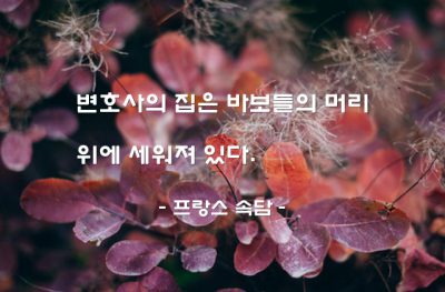 변호사 – 프랑스 속담