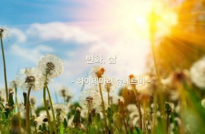 변화, 삶 – 하이데마리 슈베르머