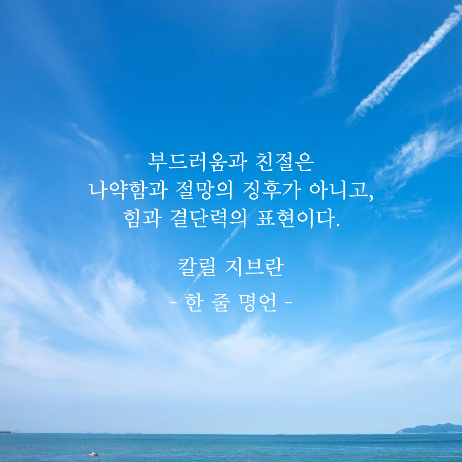 부드러움과 친절은