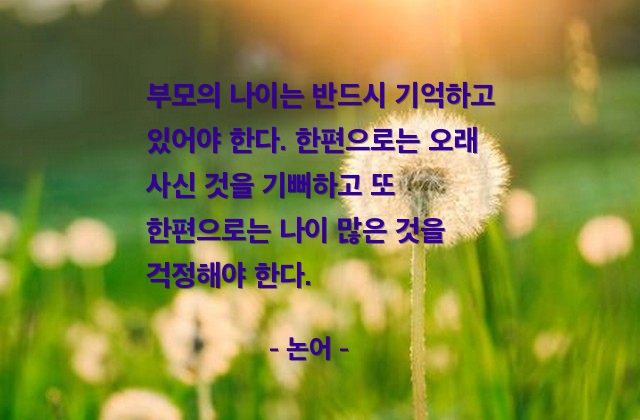 부모, 효도 – 논어