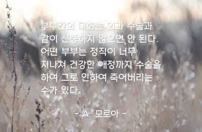 부부, 대화 – A. 모로아