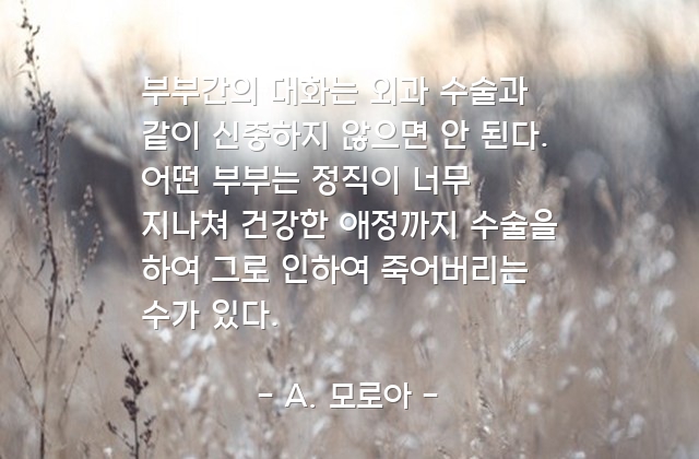 부부, 대화 – A. 모로아