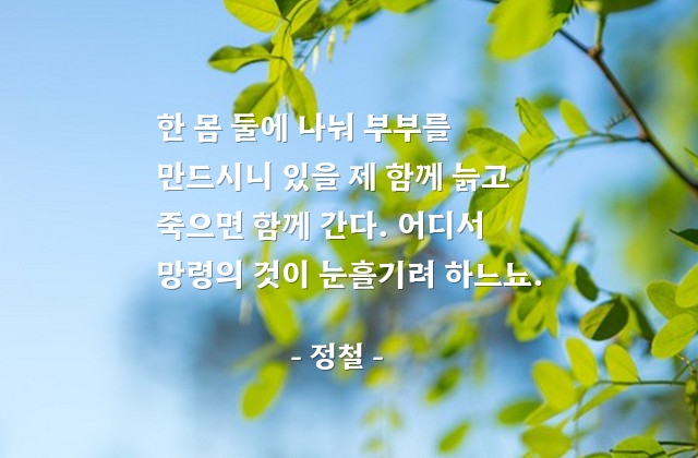 부부 – 정철