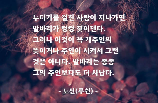 부하, 주인, 사람 – 노신(루쉰)