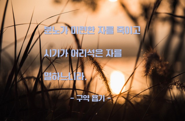 분노, 시기 – 구약 욥기