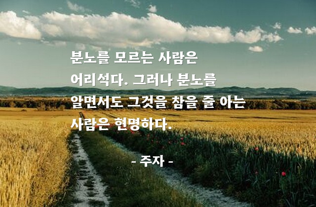 분노, 어리석음, 우자, 현자, 현명 – 주자