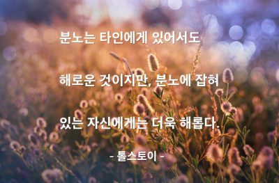 분노 – 톨스토이