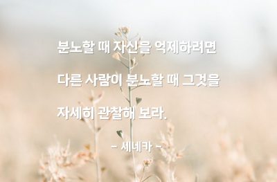 분노, 화(anger), 자기자신 – 세네카