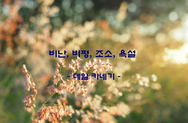 비난, 비평, 조소, 욕설 – 데일 카네기