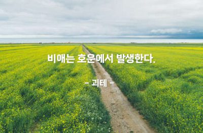 비애(슬픔과설움), 행운 – 괴테