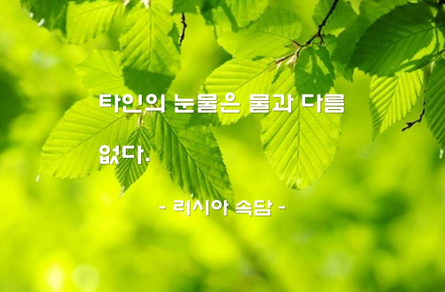 비정함, 눈물, 타인 – 러시아 속담