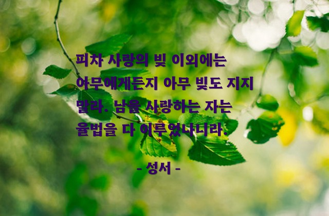 빚(debt), 사랑 – 성서