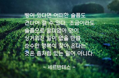 빵, 슬픔, 행복 – 세르반테스