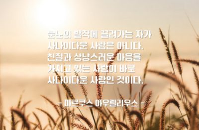 사나이, 남자 – 마르쿠스 아우렐리우스