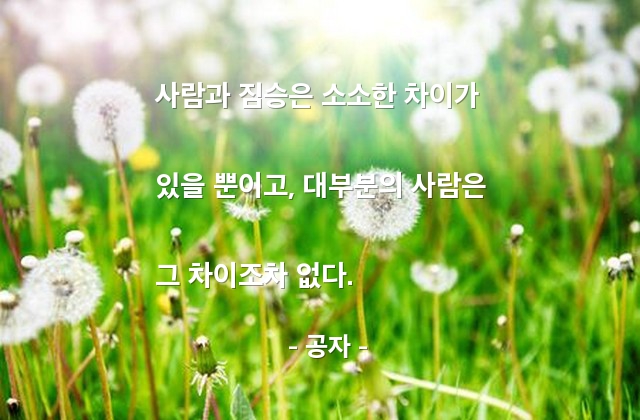 사람, 짐승 – 공자