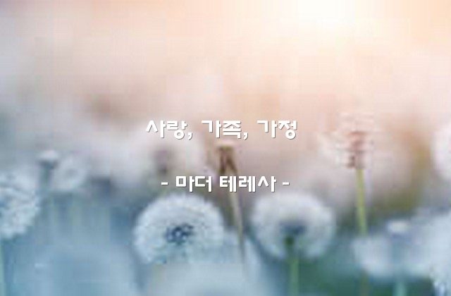 사랑, 가족, 가정 – 마더 테레사