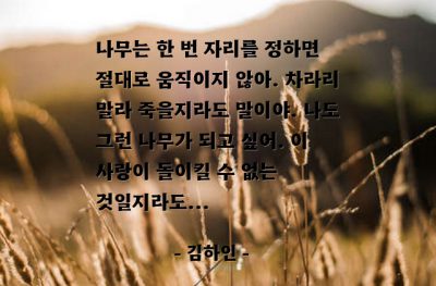 사랑 – 김하인