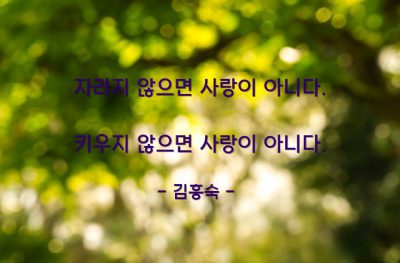 사랑 – 김흥숙