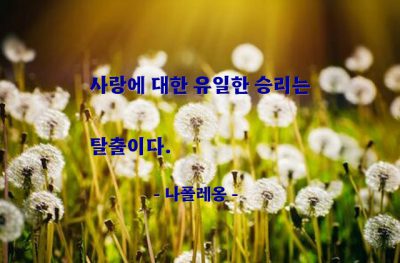 사랑 – 나폴레옹