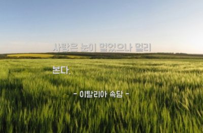 사랑, 눈eye – 이탈리아 속담