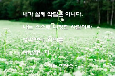 사랑, 자기자신 – 시드 비셔스