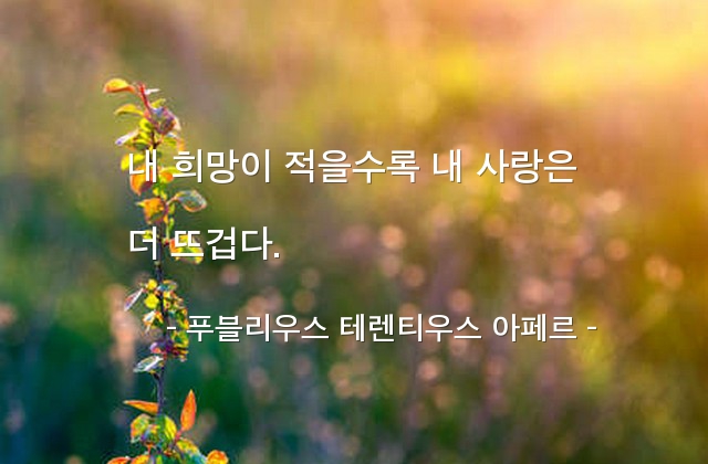 사랑, 희망 – 푸블리우스 테렌티우스 아페르