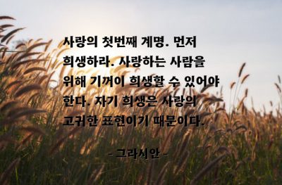 사랑, 희생 – 그라시안