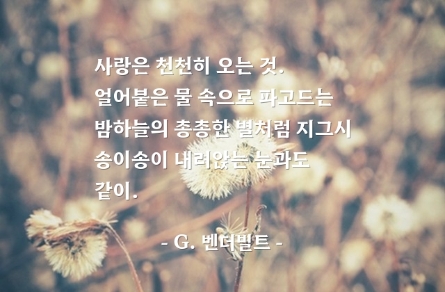 사랑 – G. 벤더빌트