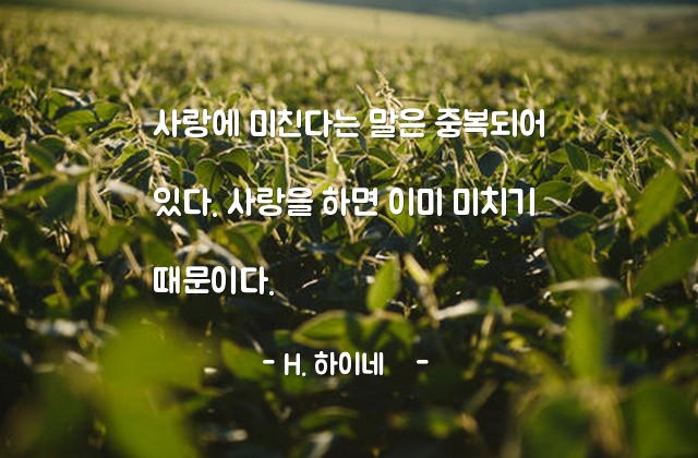 사랑 – H. 하이네­