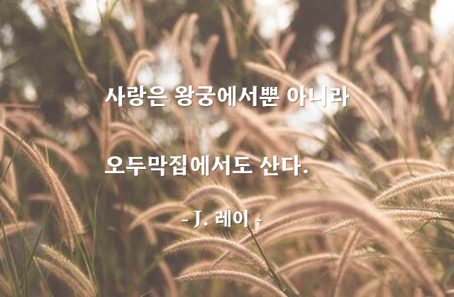 사랑 – J. 레이