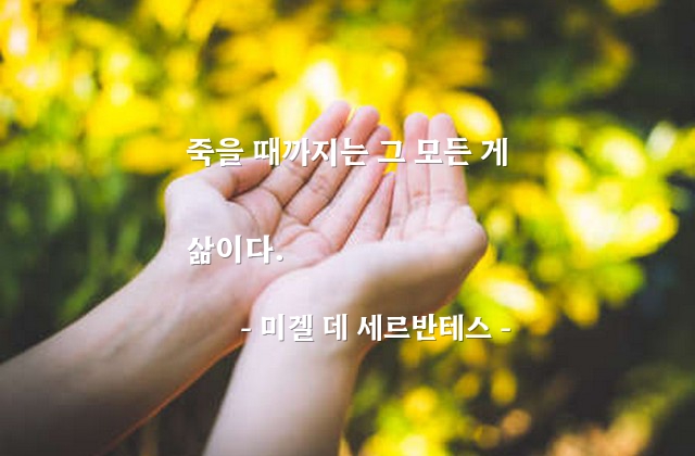 삶, 인생, 죽음 – 미겔 데 세르반테스