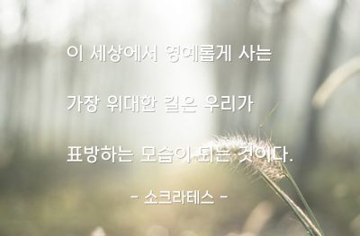 삶, 인생살이, 영예 – 소크라테스