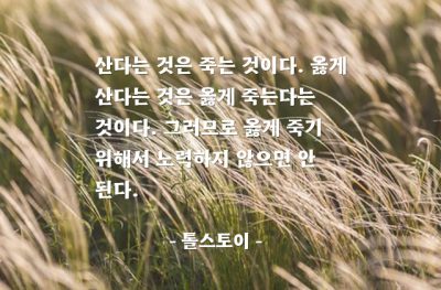 삶, 죽음 – 톨스토이