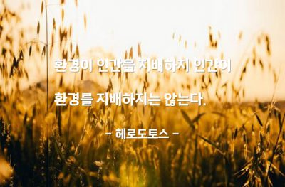 상황, 환경, 인간 – 헤로도토스