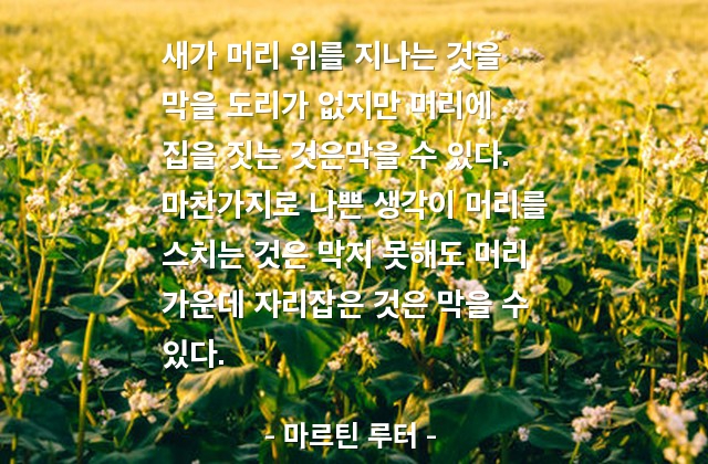 생각 – 마르틴 루터