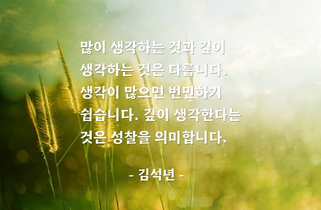 생각, 번민, 성찰 – 김석년